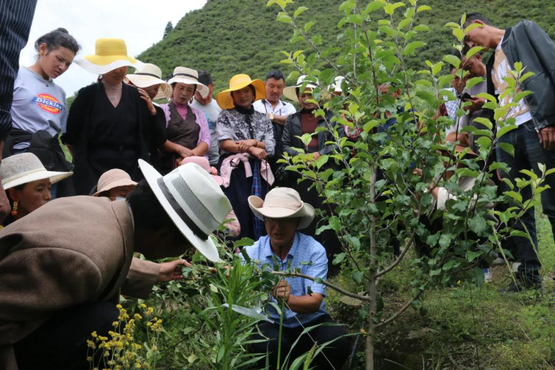 技术支撑产业 打造群众致富路